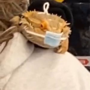 Meet your Posher, Jeffery